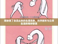 揭秘做了會(huì)流出來(lái)的生理現(xiàn)象，科學(xué)解析與日常生活的奇妙聯(lián)系