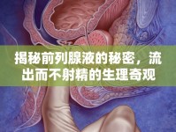 揭秘前列腺液的秘密，流出而不射精的生理奇觀