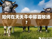 如何在天天牛中稱(chēng)霸牧場(chǎng)？