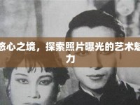 悠心之境，探索照片曝光的藝術(shù)魅力