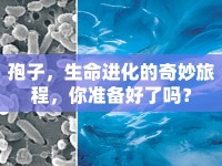 孢子，生命進(jìn)化的奇妙旅程，你準(zhǔn)備好了嗎？