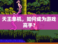 天王單機(jī)，如何成為游戲高手？