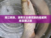 湘江明珠，湖南女主播泥鰍的璀璨網(wǎng)絡(luò)直播之旅