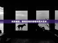 光影捕捉，瞬間定格的音曝光照片藝術