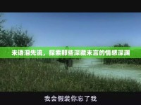未語淚先流，探索那些深藏未言的情感深淵