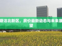 塘沽北新區(qū)，房價最新動態(tài)與未來展望