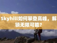 Skyhill如何攀登高峰，解鎖無(wú)限可能？