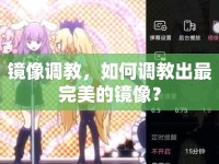 鏡像調教，如何調教出最完美的鏡像？
