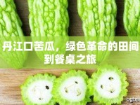 丹江口苦瓜，綠色革命的田間到餐桌之旅