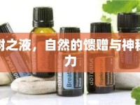棕樹(shù)之液，自然的饋贈(zèng)與神秘魅力
