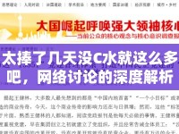 太捧了幾天沒C水就這么多吧，網(wǎng)絡(luò)討論的深度解析