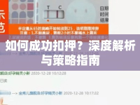 如何成功扣押？深度解析與策略指南
