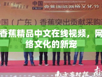 香蕉精品中文在線視頻，網(wǎng)絡文化的新寵