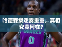 哈德森案迷霧重重，真相究竟何在？