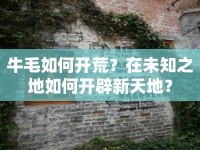 牛毛如何開荒？在未知之地如何開辟新天地？