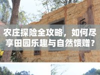 農(nóng)莊探險(xiǎn)全攻略，如何盡享田園樂趣與自然饋贈(zèng)？