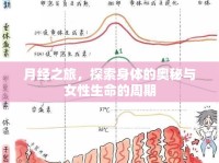 月經(jīng)之旅，探索身體的奧秘與女性生命的周期