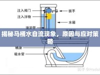 揭秘馬桶水自流現(xiàn)象，原因與應(yīng)對策略