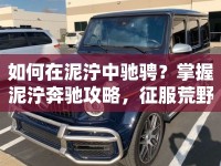 如何在泥濘中馳騁？掌握泥濘奔馳攻略，征服荒野！