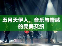 五月天伊人，音樂與情感的完美交織