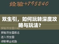 雙生引，如何玩轉深度攻略與玩法？