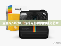 寶麗來SX-70，定格光影瞬間的曝光藝術(shù)
