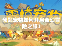 湯匙寵物如何開啟奇幻冒險(xiǎn)之旅？