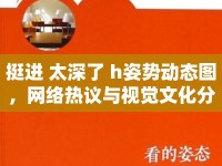 挺進(jìn) 太深了 h姿勢動(dòng)態(tài)圖，網(wǎng)絡(luò)熱議與視覺文化分析