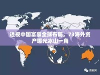 透視中國富豪全球布局，73海外資產(chǎn)曝光冰山一角