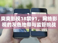 爽爽影視18禁91，網(wǎng)絡(luò)影視的灰色地帶與監(jiān)管挑戰(zhàn)