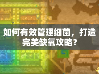如何有效管理細(xì)菌，打造完美缺氧攻略？