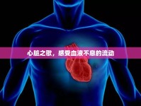 心臟之歌，感受血液不息的流動