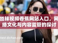 絲襪視頻香蕉網(wǎng)站入口，網(wǎng)絡(luò)文化與內(nèi)容監(jiān)管的探討