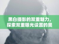 黑白攝影的雙重魅力，探索雙重曝光設(shè)置的奧秘