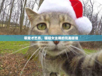 萌寵才藝秀，貓喵女主播的完美碰撞