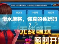 滑水麻將，你真的會玩嗎？