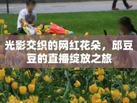 光影交織的網(wǎng)紅花朵，邱豆豆的直播綻放之旅