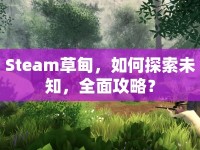 Steam草甸，如何探索未知，全面攻略？