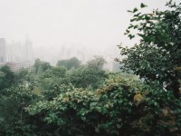 夢(mèng)幻手游任務(wù)法寶寶，如何打造最強(qiáng)戰(zhàn)斗伙伴？