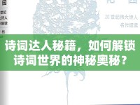 詩詞達(dá)人秘籍，如何解鎖詩詞世界的神秘奧秘？