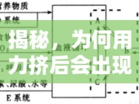 揭秘，為何用力擠后會(huì)出現(xiàn)少量液體流出？