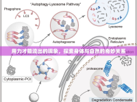 用力才能流出的現(xiàn)象，探索身體與自然的奇妙關(guān)系
