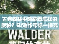 古老森林中隱藏著怎樣的奧秘？Elf遺作帶你一探究竟！