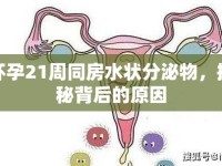 懷孕21周同房水狀分泌物，揭秘背后的原因