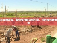 鶴城縣大棚改造，解鎖鄉(xiāng)村振興新引擎，開啟綠色轉型新篇章