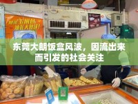 東莞大朗飯盒風(fēng)波，因流出來而引發(fā)的社會關(guān)注