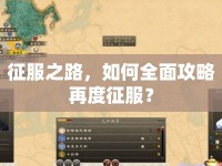 征服之路，如何全面攻略再度征服？