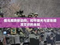 俄烏局勢(shì)新動(dòng)向，和平曙光與緊張暗流交織的未知