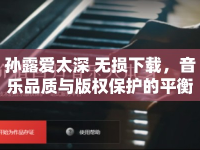 孫露愛太深 無損下載，音樂品質(zhì)與版權保護的平衡