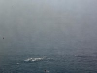 問(wèn)道手游異族活動(dòng)如何打造無(wú)敵戰(zhàn)隊(duì)，征服未知領(lǐng)域？